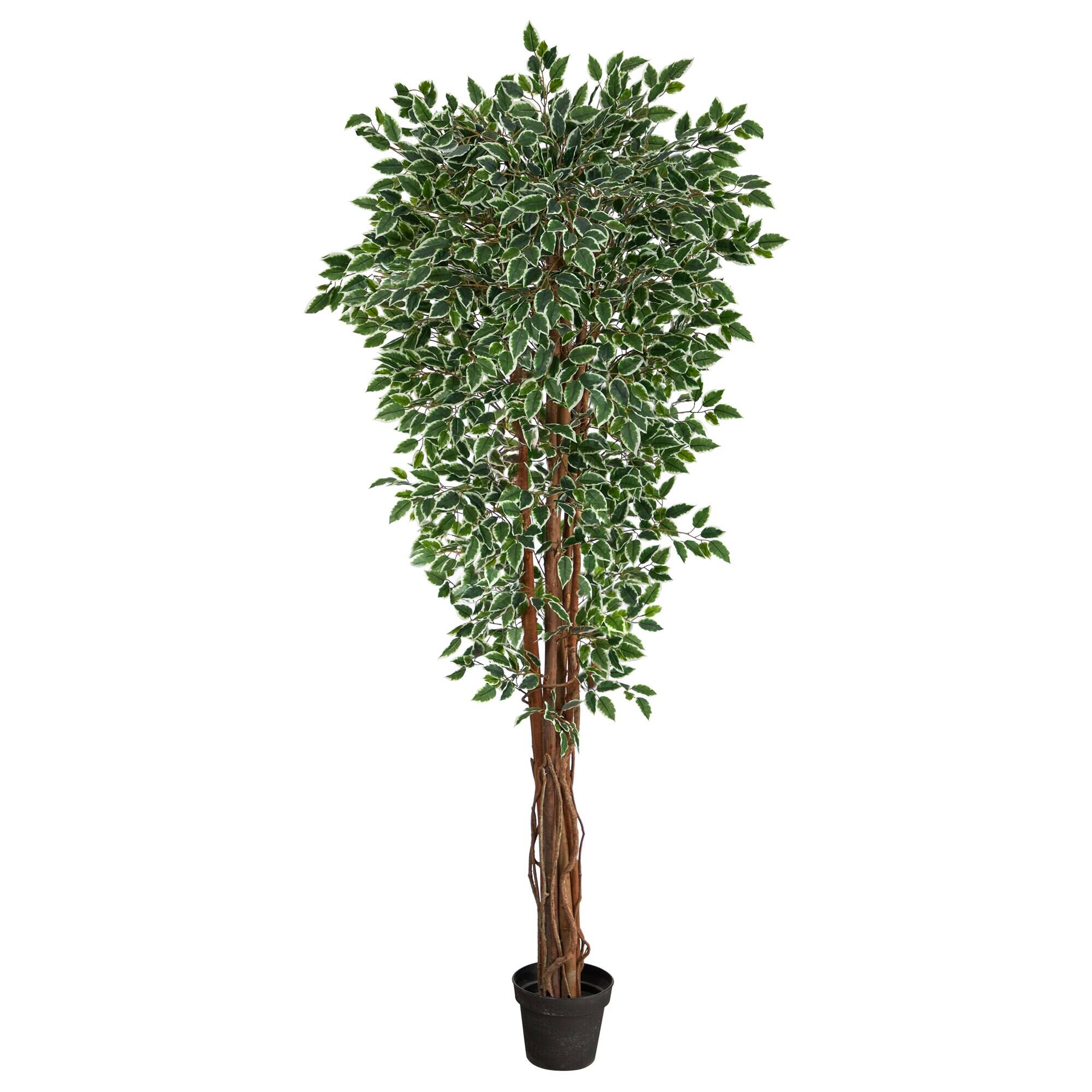 Front. BreeBe - 70" Variegated Ficus Tree UV Resistant (Indoor/Outdoor) - Green.