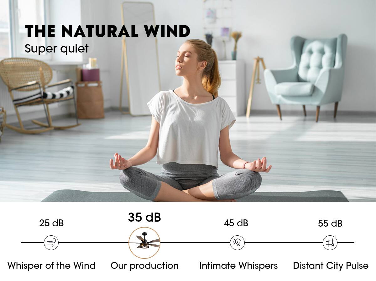 THE NATURAL WIND  
Super quiet  

25 dB  
Whisper of the Wind  

35 dB  
Our production  

45 dB  
Intimate Whispers  

55 dB  
Distant City Pulse