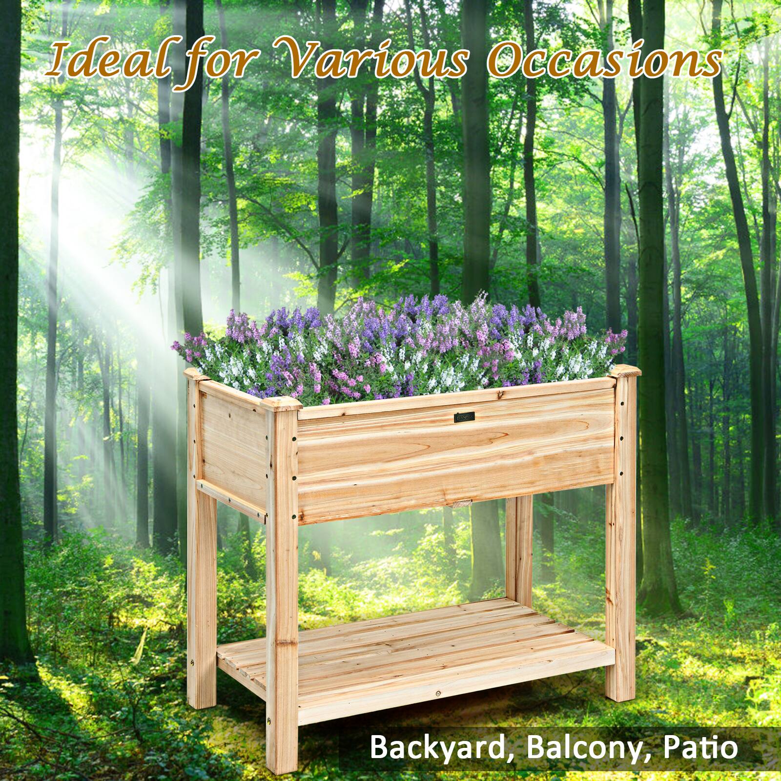 Ideal for Various Occasions  
Backyard, Balcony, Patio