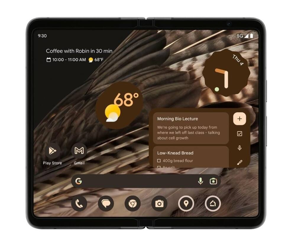 9:30  
Coffee with Robin in 30 min  
10:00 - 11:00 AM  
68°F  

Morning Bio Lecture  
We're going to pick up today from where we left off last class - talking about cell growth  

Low-Knead Bread  
400g bread flour  
300g water  

Play Store  
Gmail