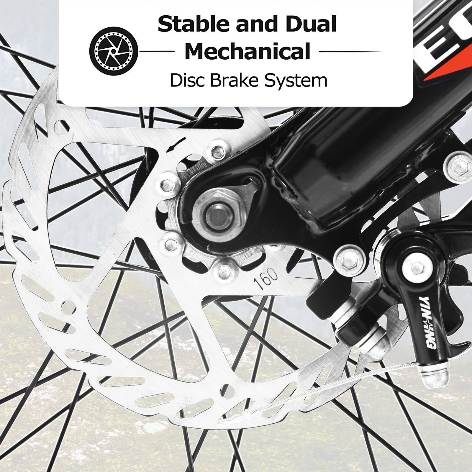 Stable and Dual Mechanical Disc Brake System