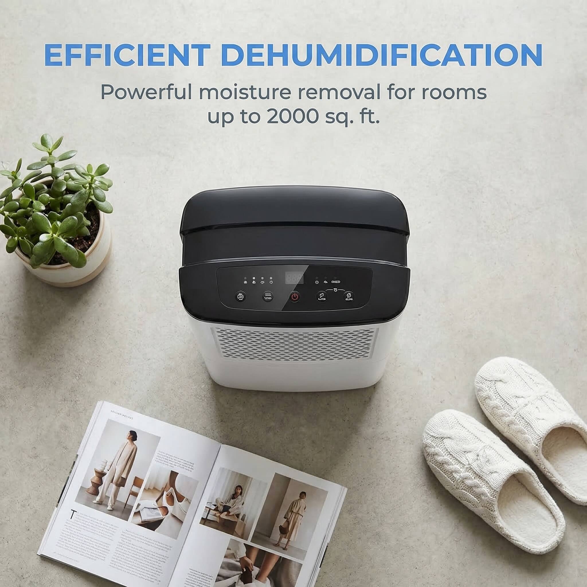 EFFICIENT DEHUMIDIFICATION  
Powerful moisture removal for rooms up to 2000 sq. ft.