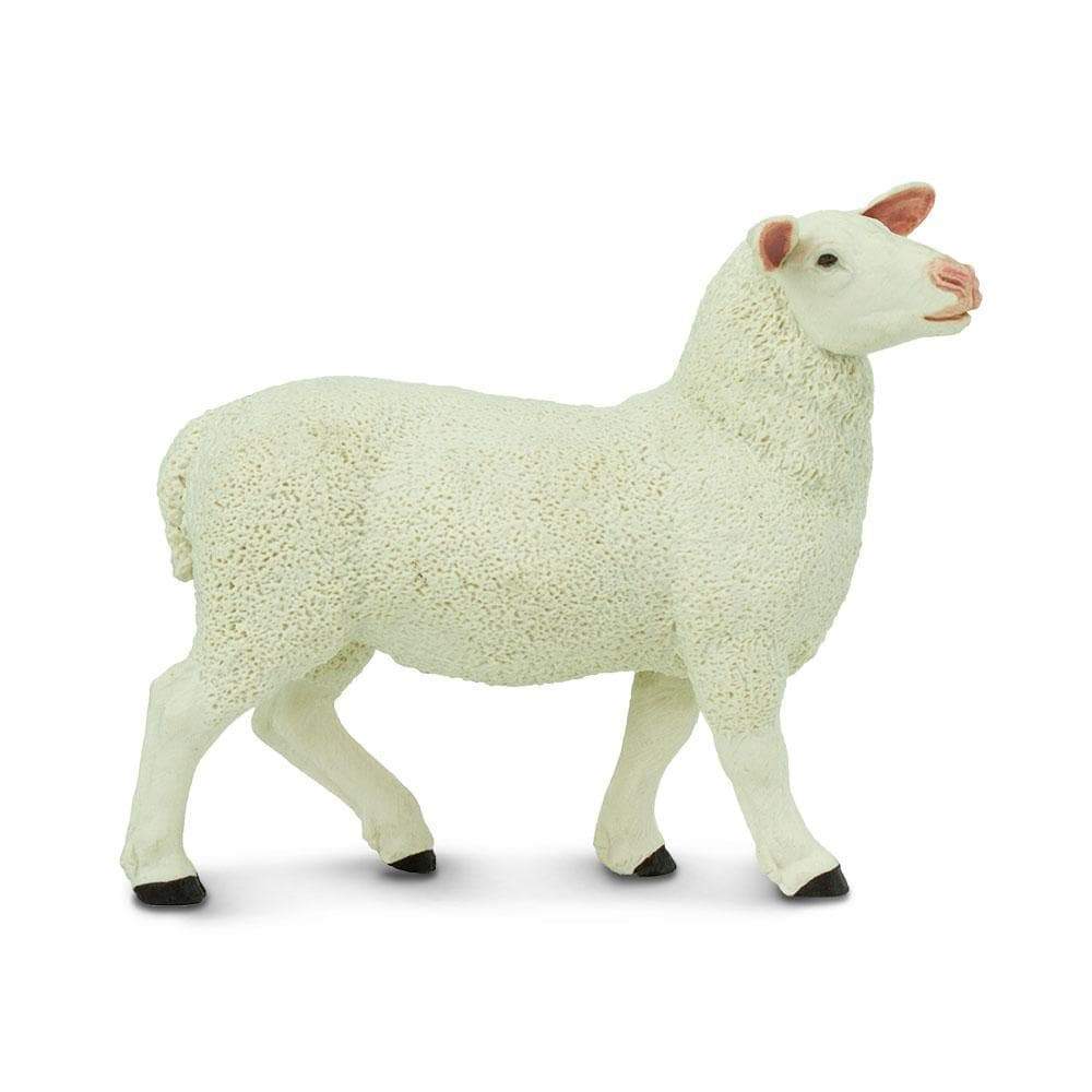 Front. Safari Ltd. - Ewe Toy Figurine.