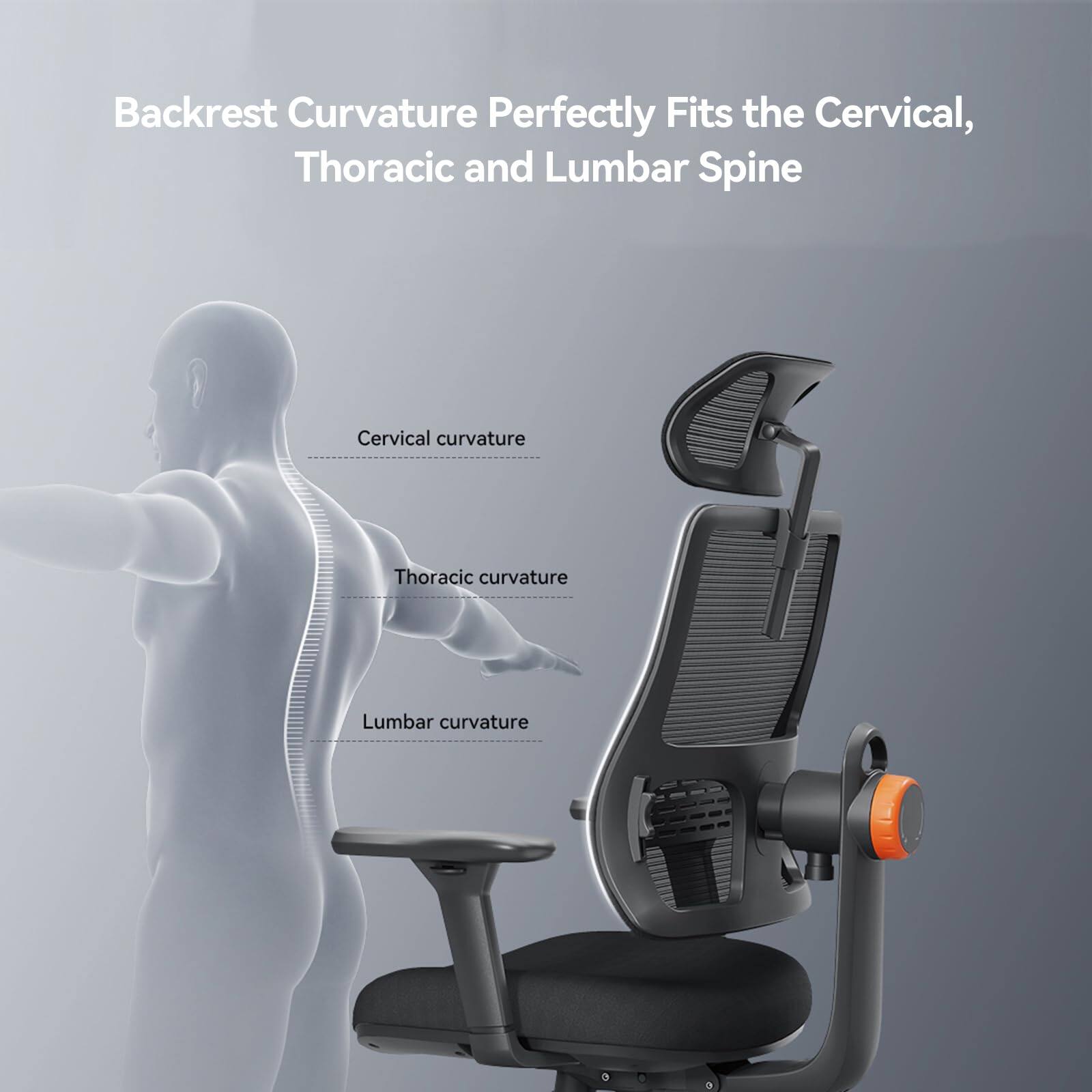Backrest Curvature Perfectly Fits the Cervical, Thoracic and Lumbar Spine

Cervical curvature  
Thoracic curvature  
Lumbar curvature
