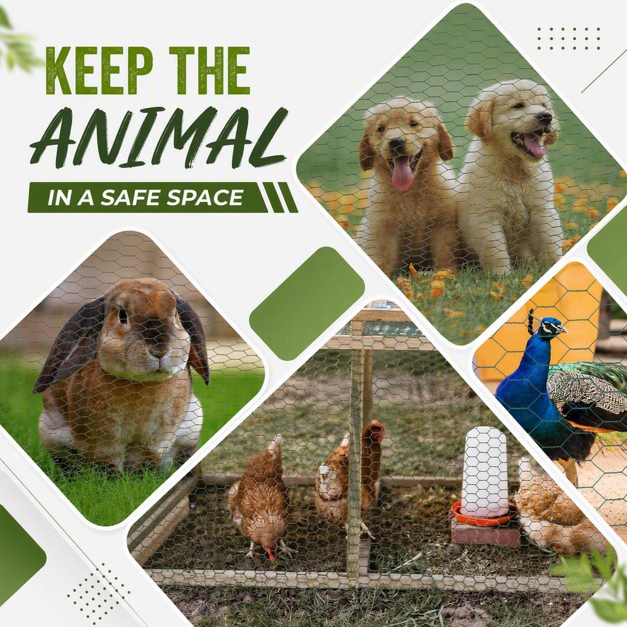 KEEP THE ANIMAL IN A SAFE SPACE
