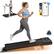 M NLQil Todkor tn i - - - F - i calenatar M a | Z Activity -e - - d . - - - - i a 10%