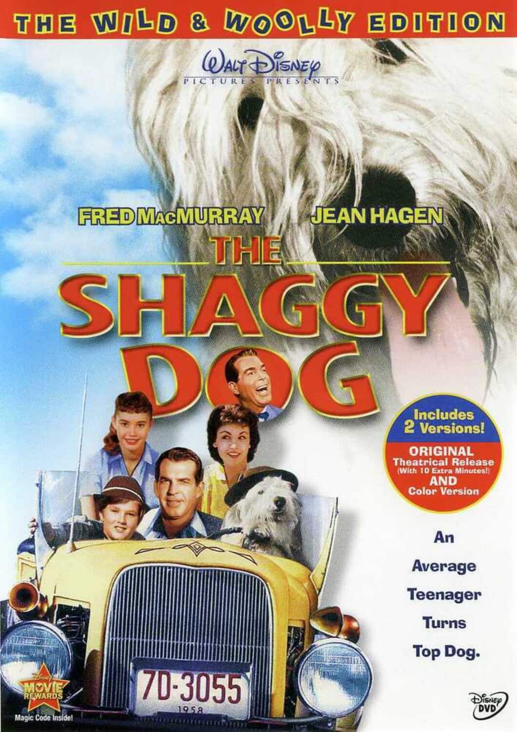 The Shaggy Dog  - DVD