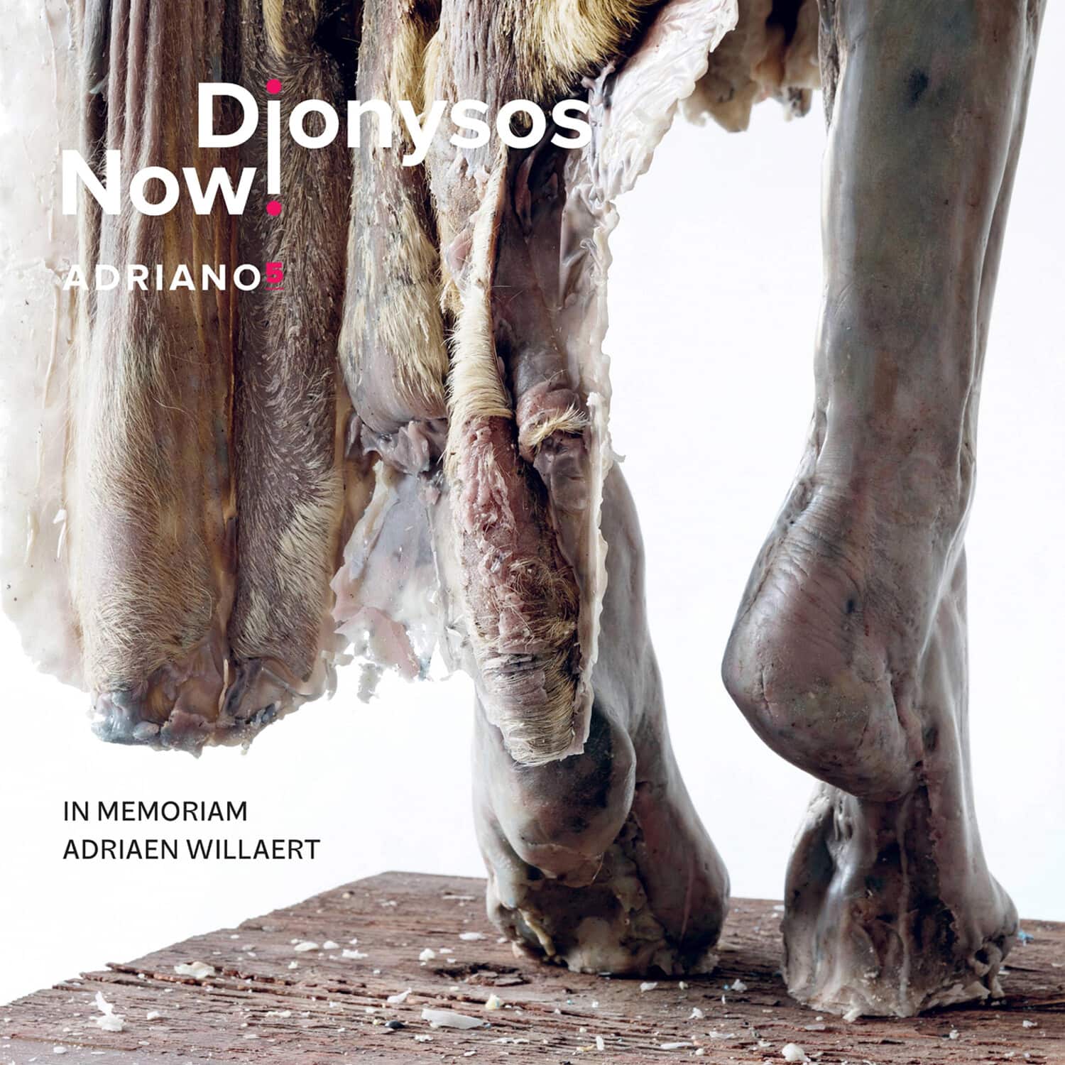 Dionysos Now - Adriano 5  - COMPACT DISCS