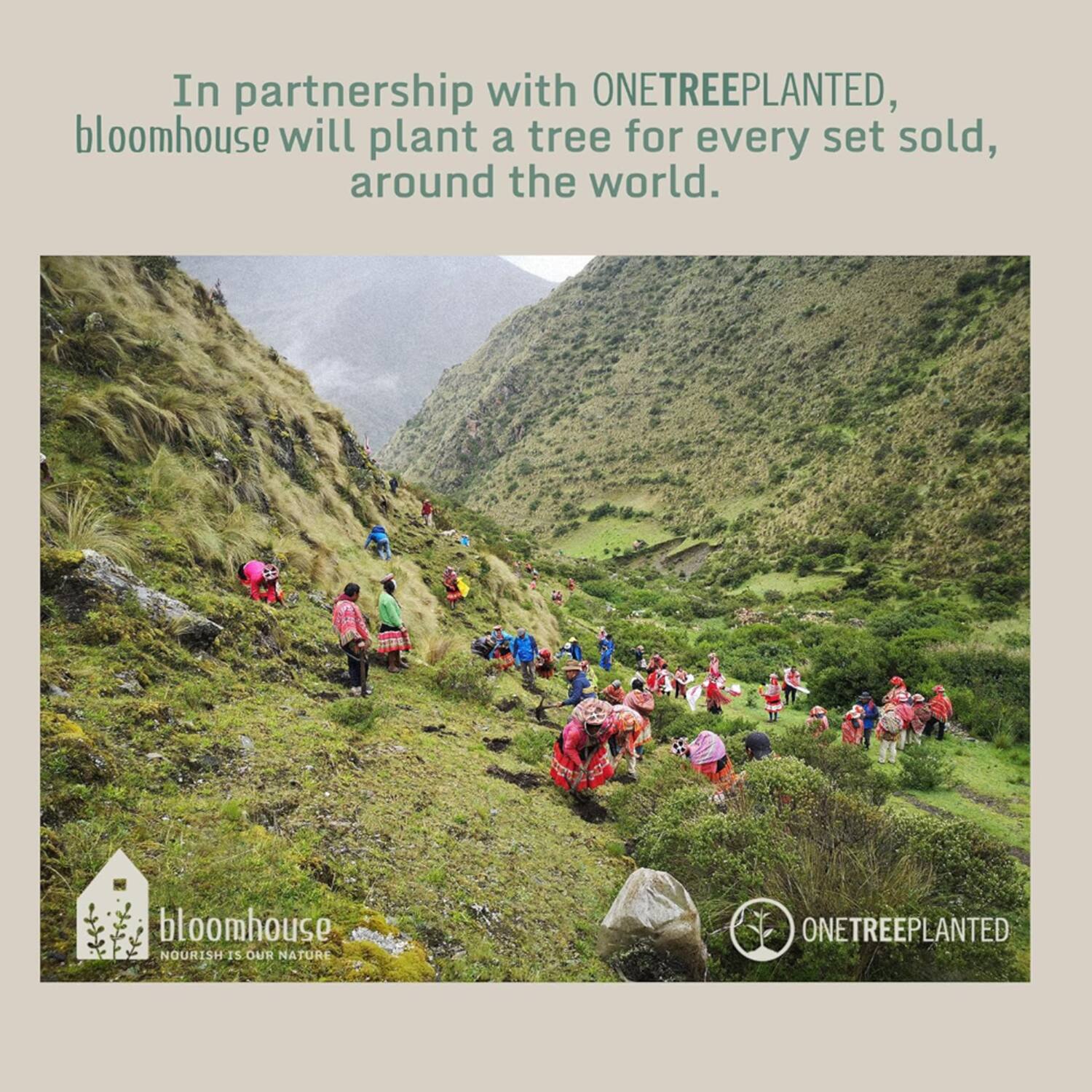 In partnership with ONETREEPLANTED, bloomhouse will plant a tree for every set sold, around the world.

bloomhouse
NOURISH IS OUR NATURE

ONETREEPLANTED