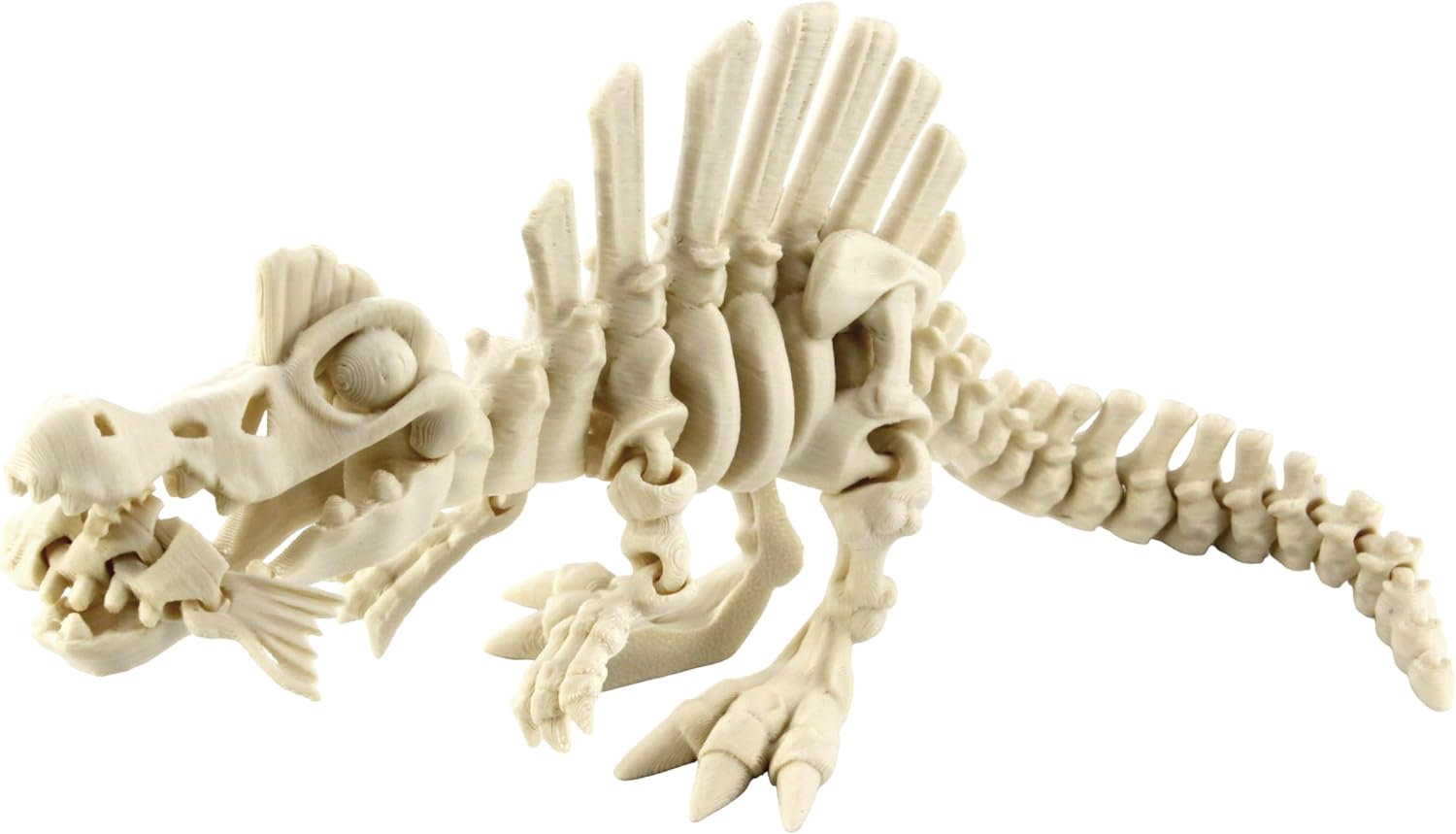 3D Printed Skeleton Spinosaurus, Prehistoric Collectible Articulating Dinosaur Figurine Desk Décor White by PowerTRC