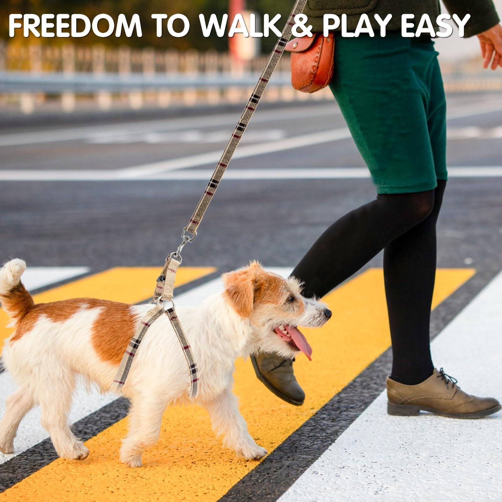 FREEDOM TO WALK & PLAY EASY