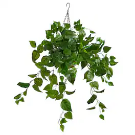 BreeBe - 2.5' Philodendron Artificial Plant in Hanging Basket - Green