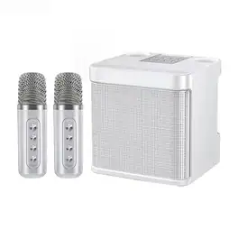 PRIMEPLUS - Powerful Bass Bluetooth Karaoke Speaker with Dual Wireless Microphones, AUX/TF/USB, 5H Playtime – Home & Party Audio - White