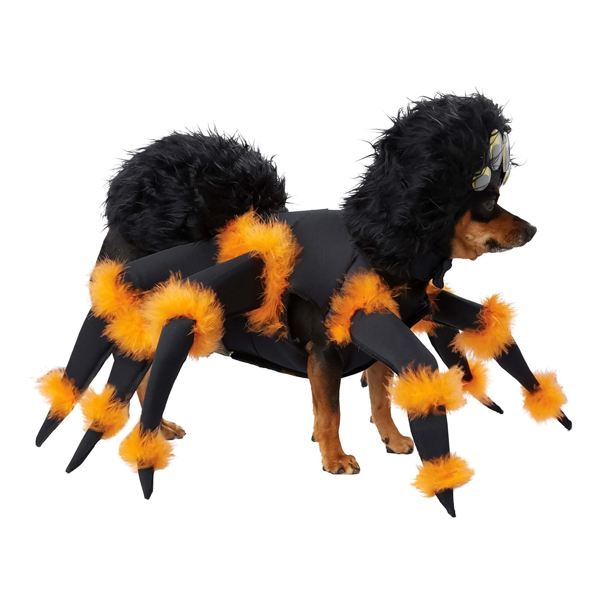 Alt View 2. California Costumes - Spider Pup Pet Costume | X-Small - Multi-Colored.