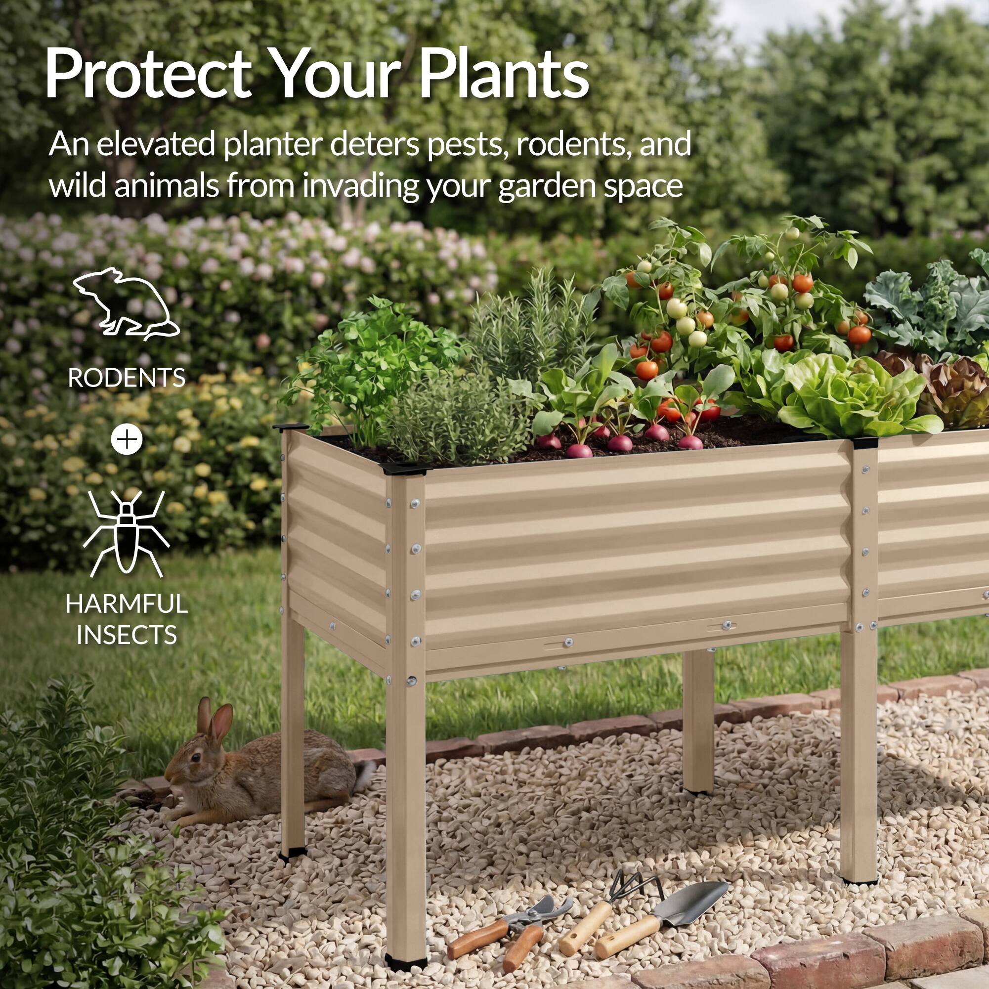Protect Your Plants

An elevated planter deters pests, rodents, and wild animals from invading your garden space

RODENTS + HARMFUL INSECTS