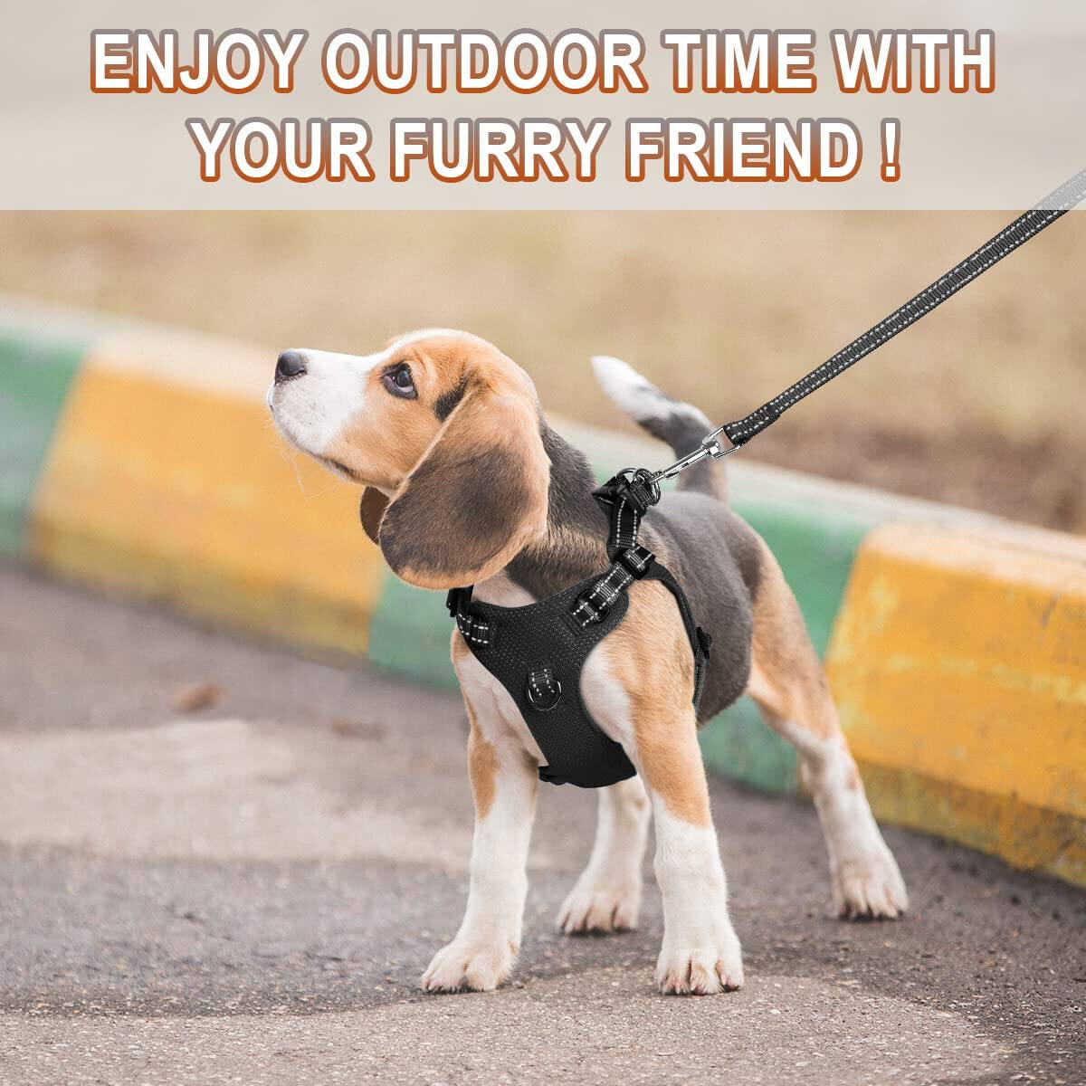 ENJOY OUTDOOR TIME WITH YOUR FURRY FRIEND!