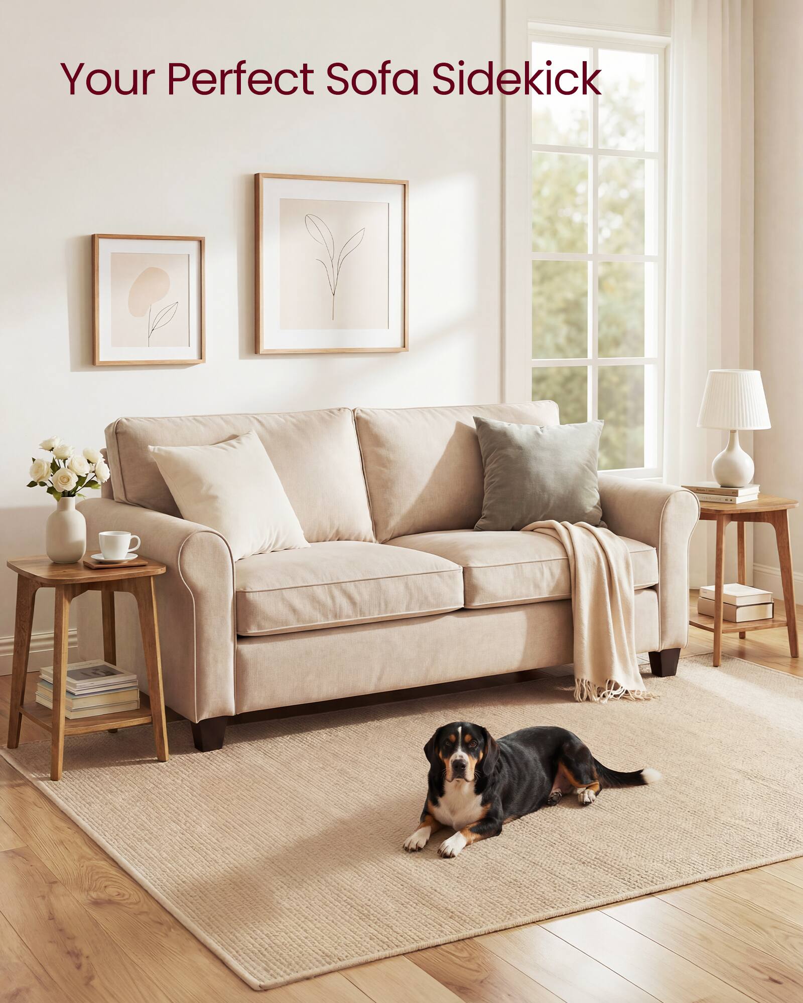 Your Perfect Sofa Sidekick