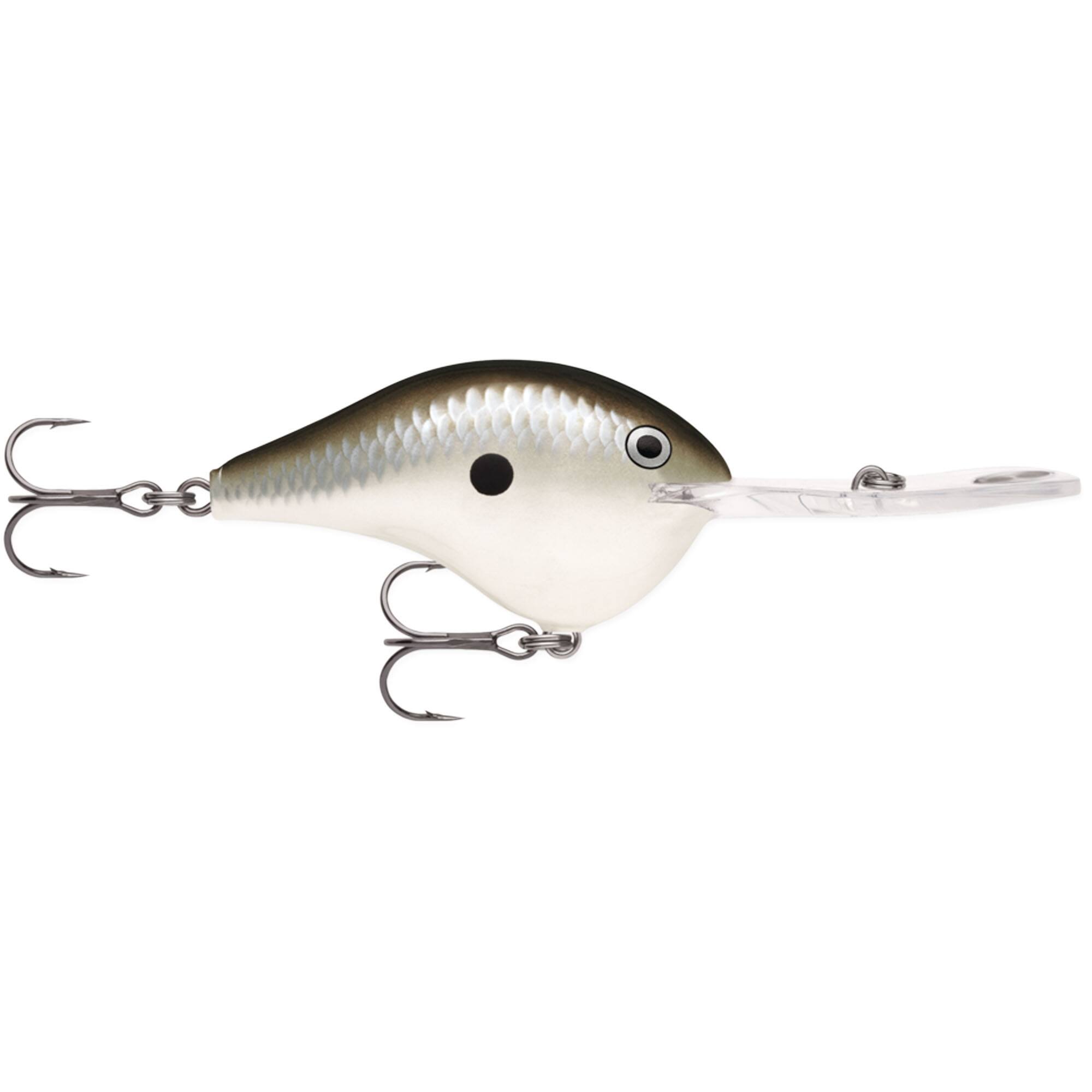 Pearl Grey Shiner