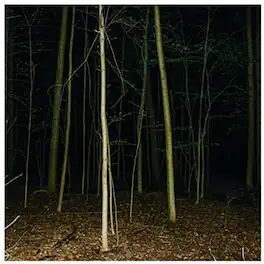 Express Rising - Fixed Rope Ii - VINYL LP