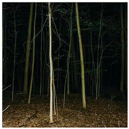 Front. Express Rising - Fixed Rope Ii - VINYL LP.