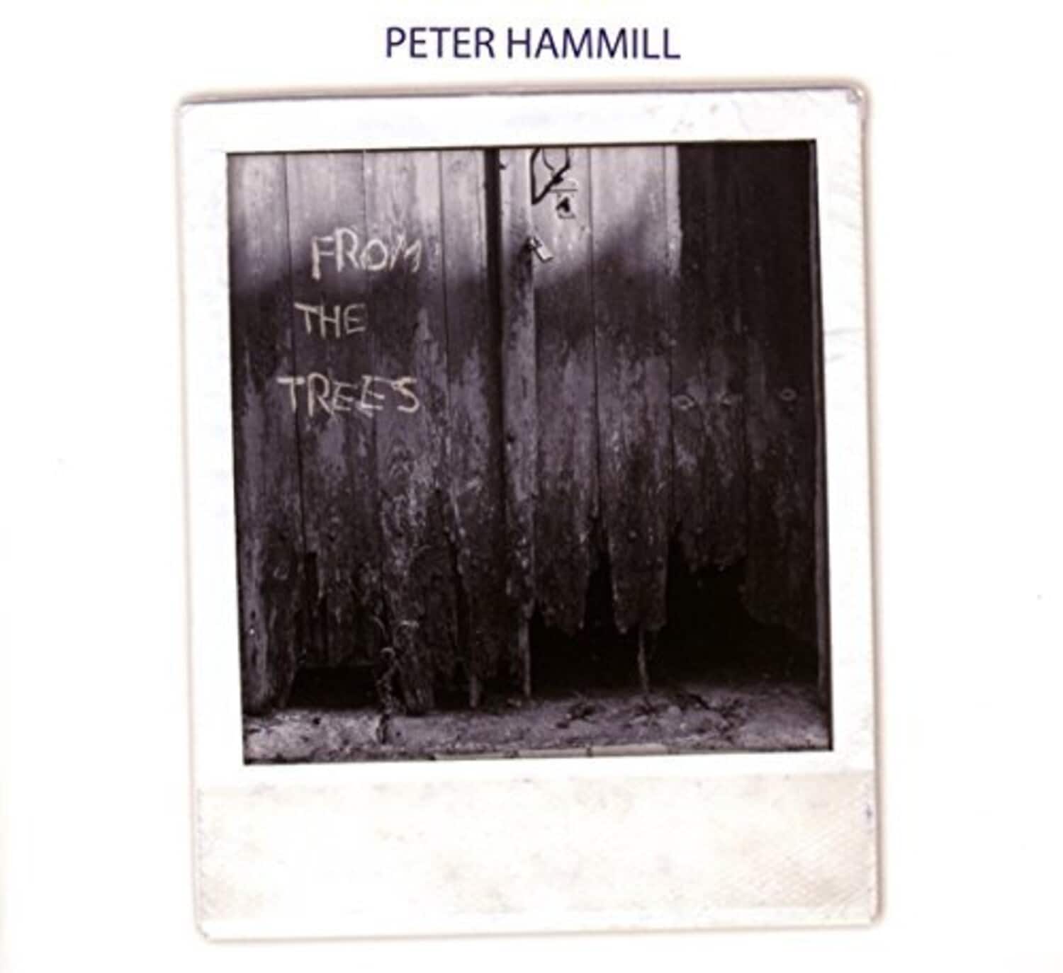 Peter Hammill - From The Trees   - COMPACT DISCS [CD] price history on PriceWatchPro