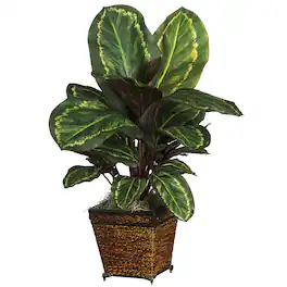 BreeBe - Maranta w/Wicker Vase Silk Plant - Green