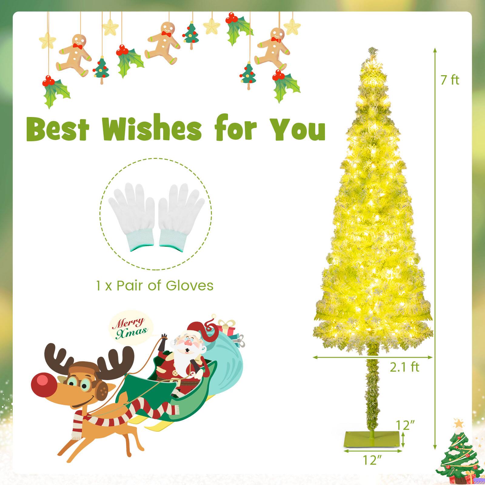 Best Wishes for You

1 x Pair of Gloves

Merry Xmas

7 ft

2.1 ft

12"

12"