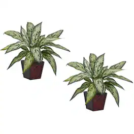 BreeBe - Silver Queen Silk Plant (Set of 2) - Green