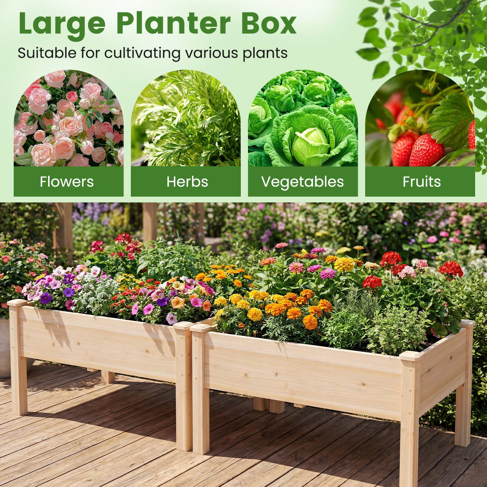 Large Planter Box  
Suitable for cultivating various plants  
- Flowers  
- Herbs  
- Vegetables  
- Fruits