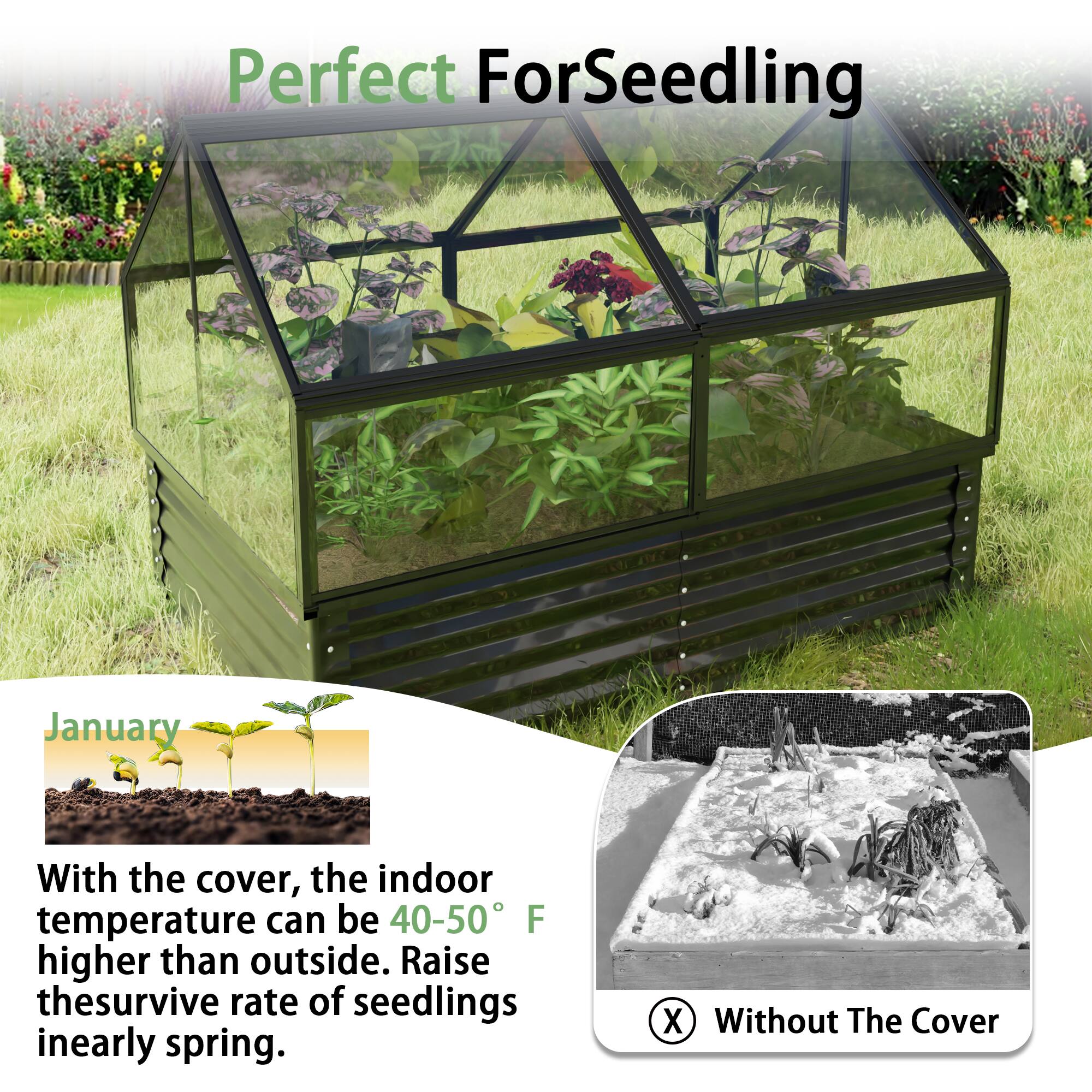 Perfect For Seedling

January

With the cover, the indoor temperature can be 40-50°F higher than outside. Raise the survive rate of seedlings in early spring.

X Without The Cover