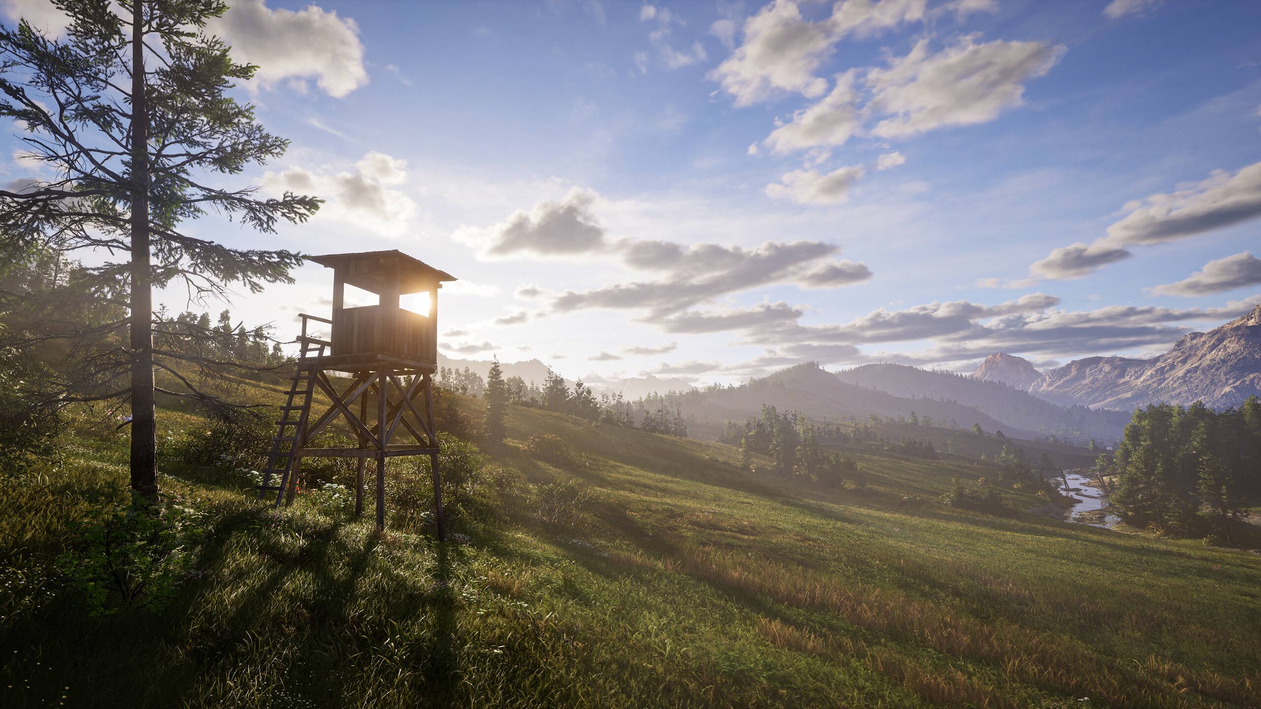 Left. THQ Nordic - Way of the Hunter 2.