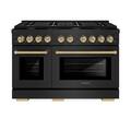 ZLINE - 48 in. Wide 8 Burner Autograph Paramount Dual Fuel Freestanding Black Stainless Range w/ Bronze Accents - Black Stainless Steel