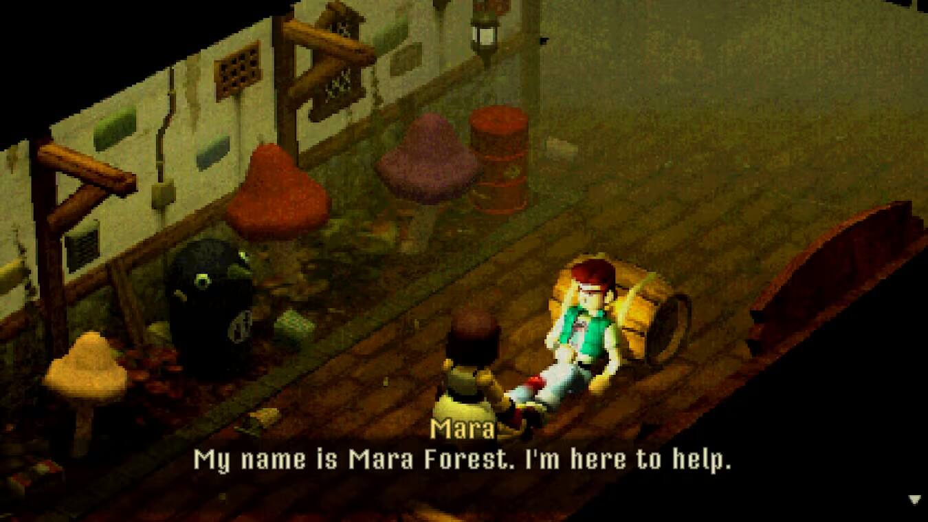 My name is Mara Forest. I'm here to help.