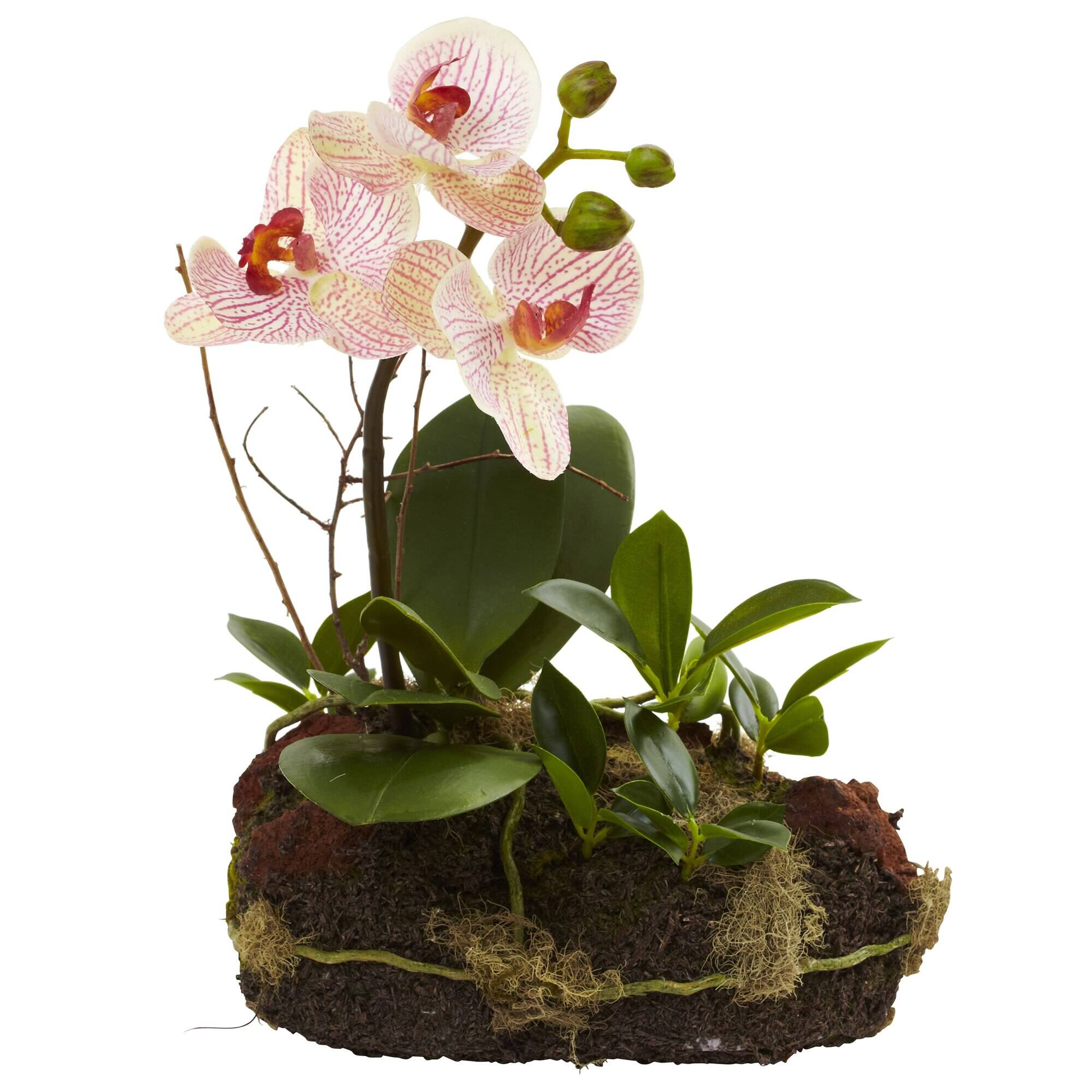 Angle. BreeBe - Orchid Island (Set of 2) - Pink.
