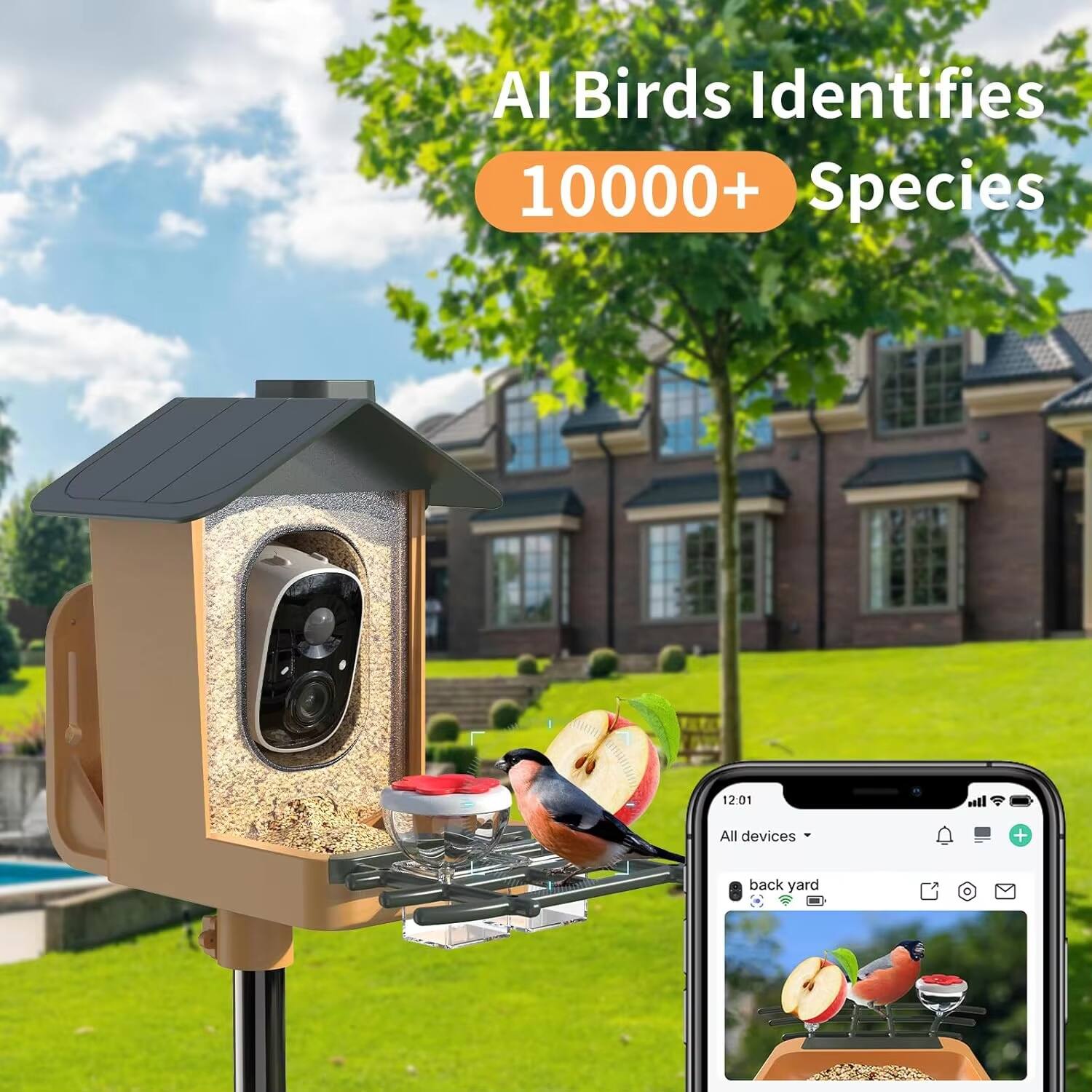 AI Birds Identifies 10000+ Species  
12:01  
All devices  
back yard