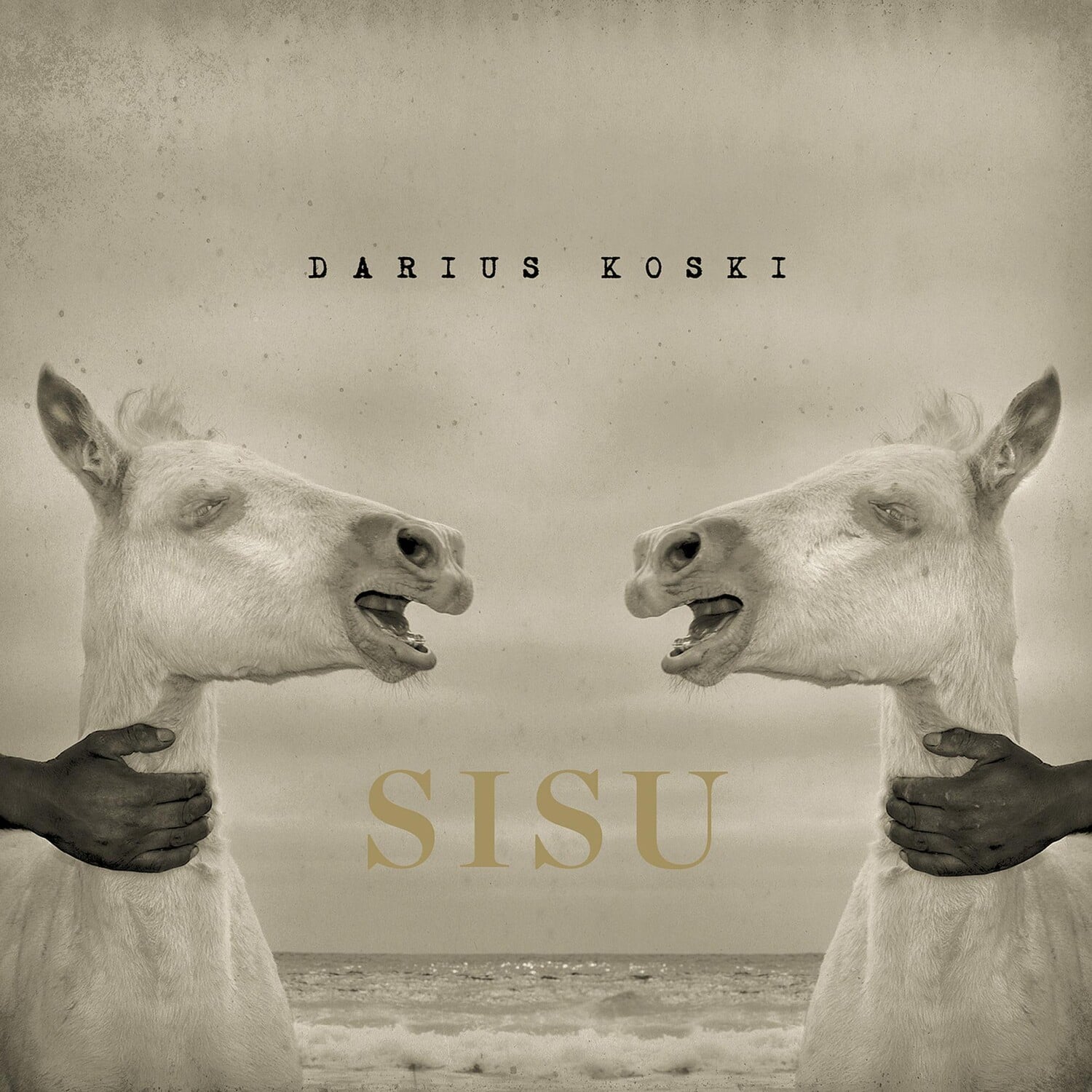 Darius Koski - Sisu  - VINYL LP