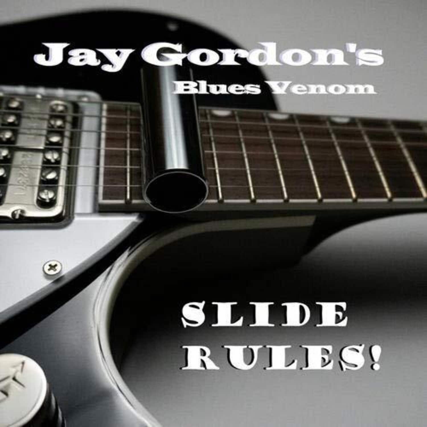 Jay Gordon - Slide Rules   - COMPACT DISCS [CD] price history on PriceWatchPro