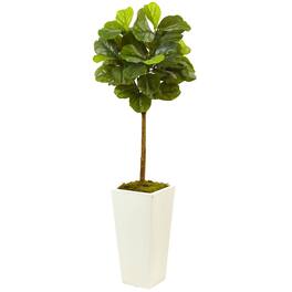 BreeBe - 4.5' Fiddle Leaf Fig in White Planter (Real Touch) - Green