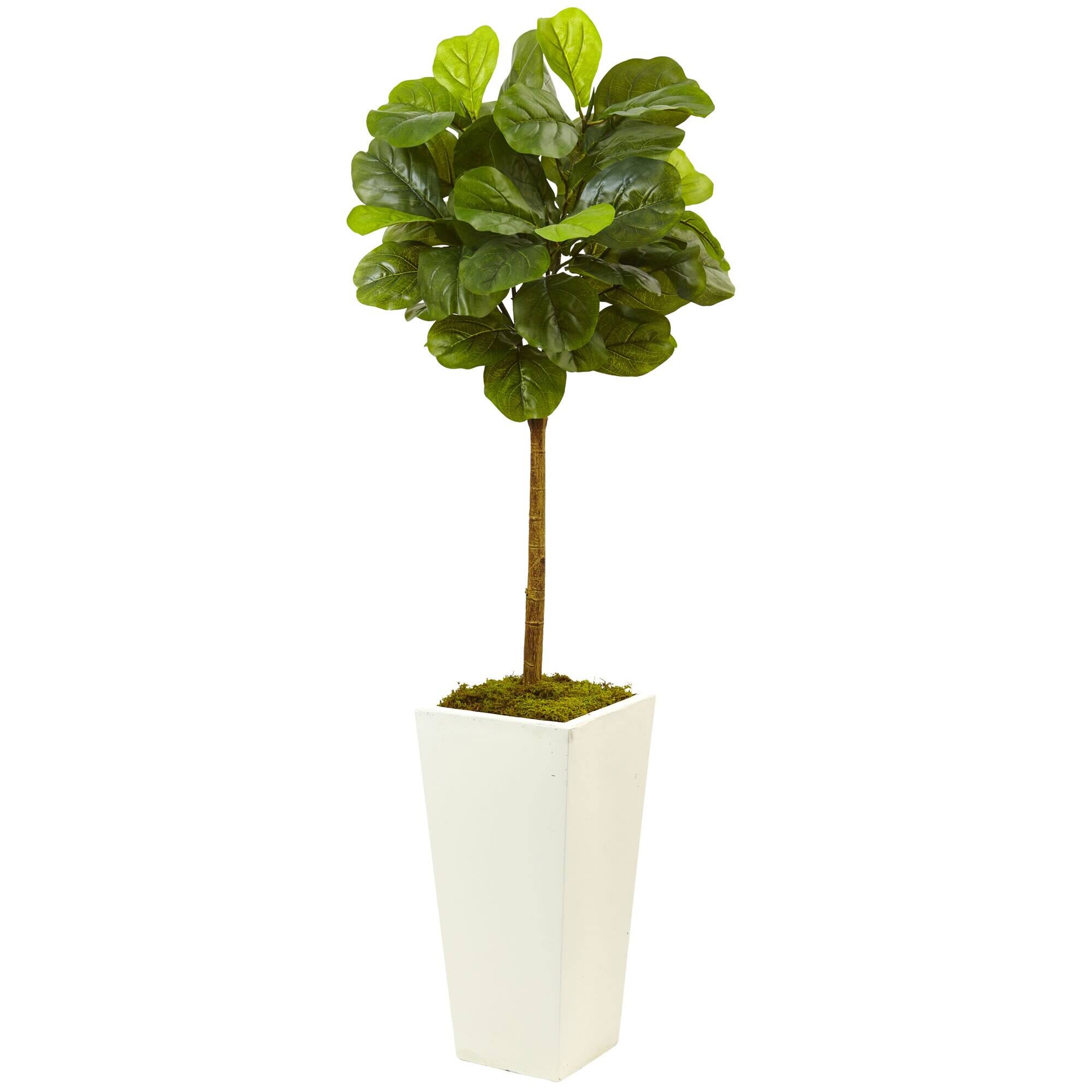 Front. BreeBe - 4.5' Fiddle Leaf Fig in White Planter (Real Touch) - Green.