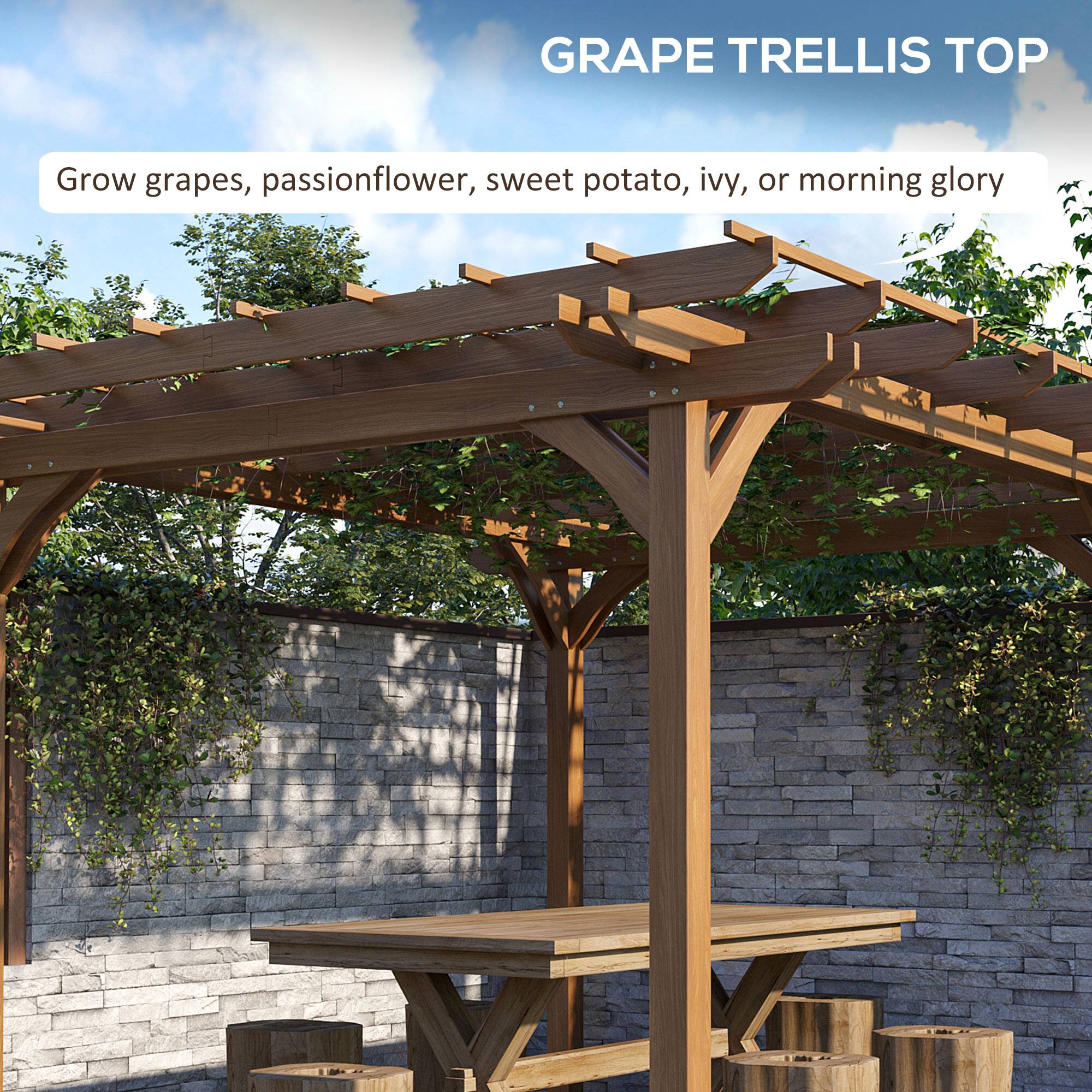 GRAPE TRELLIS TOP
Grow grapes, passionflower, sweet potato, ivy, or morning glory