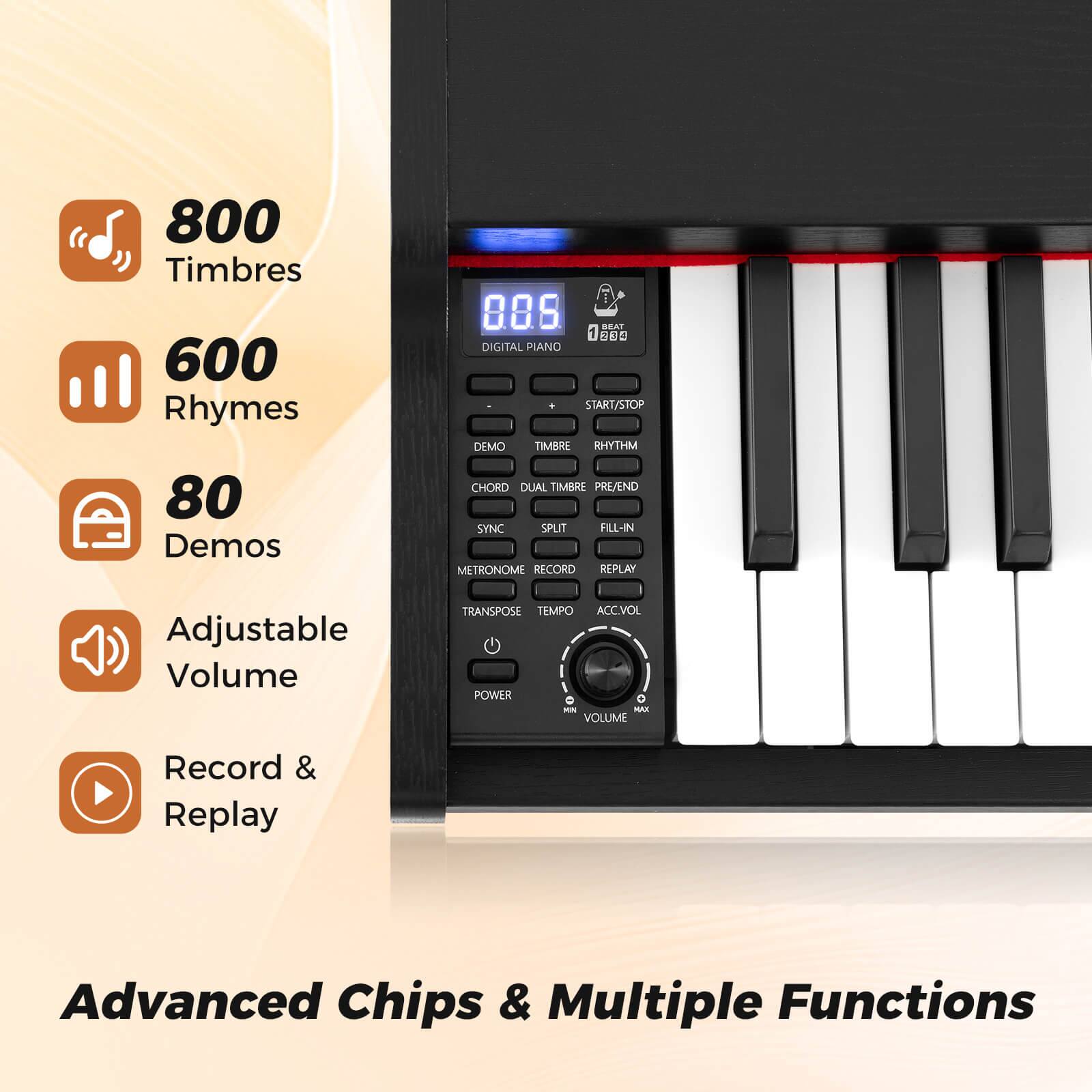 800 Timbres  
600 Rhymes  
80 Demos  
Adjustable Volume  
Record & Replay  

Advanced Chips & Multiple Functions
