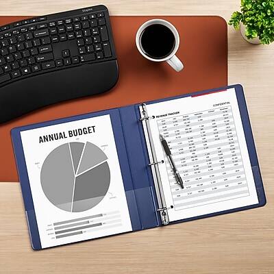 ANNUAL BUDGET REVENUE TRACKER