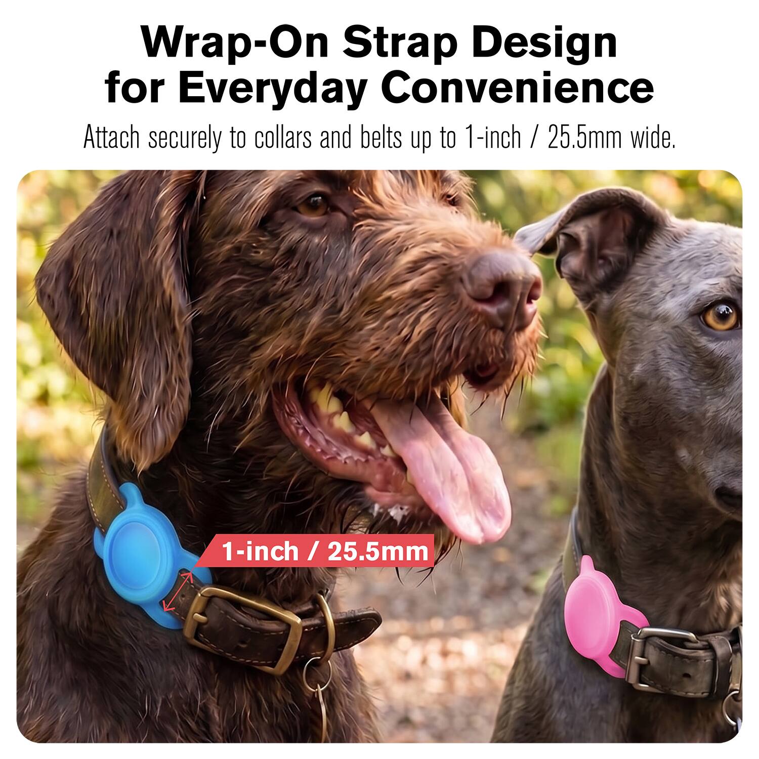 Wrap-On Strap Design for Everyday Convenience  
Attach securely to collars and belts up to 1-inch / 25.5mm wide.  
1-inch / 25.5mm