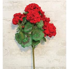 BreeBe - Geranium Bush 18" Red - Red, Green