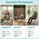 Comparison chart showing different fit options for the egg chair.