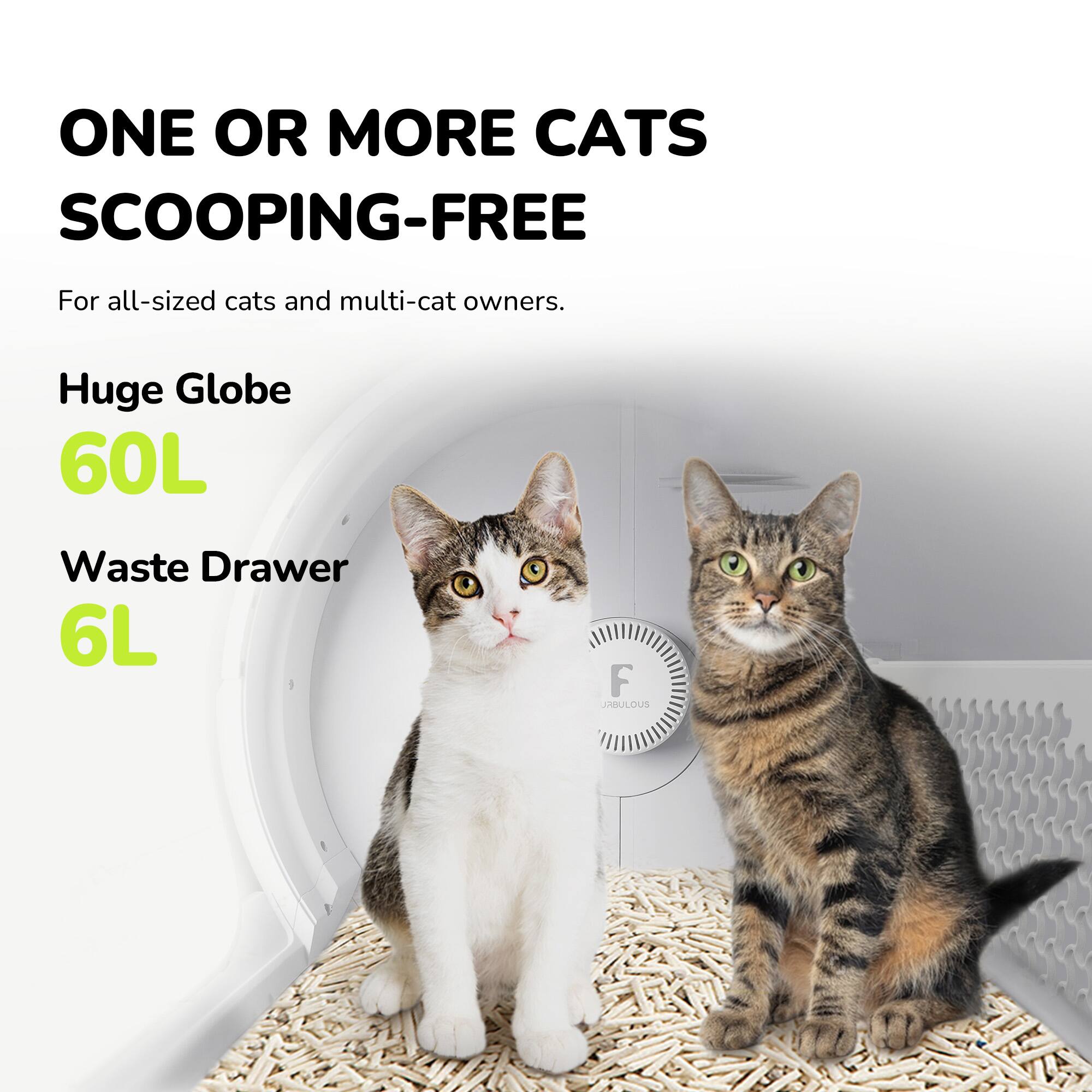 ONE OR MORE CATS  
SCOOPING-FREE  
For all-sized cats and multi-cat owners.  

Huge Globe  
60L  

Waste Drawer  
6L  

F  
JABULOUS