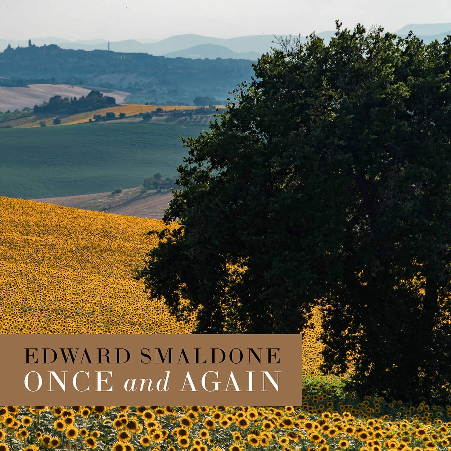 Smaldone - Once & Again  - COMPACT DISCS