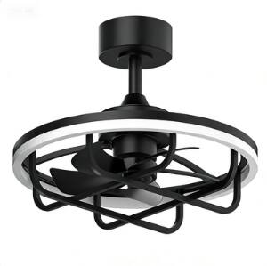 Breezary - 20-Inch Caged Ceiling Fan with Acrylic Shade, Dimmable LED, 6-Speed Remote, Timer, Downrod, DC Motor - 20-Inch Black Cage Ceiling Fan price history on PriceWatchPro