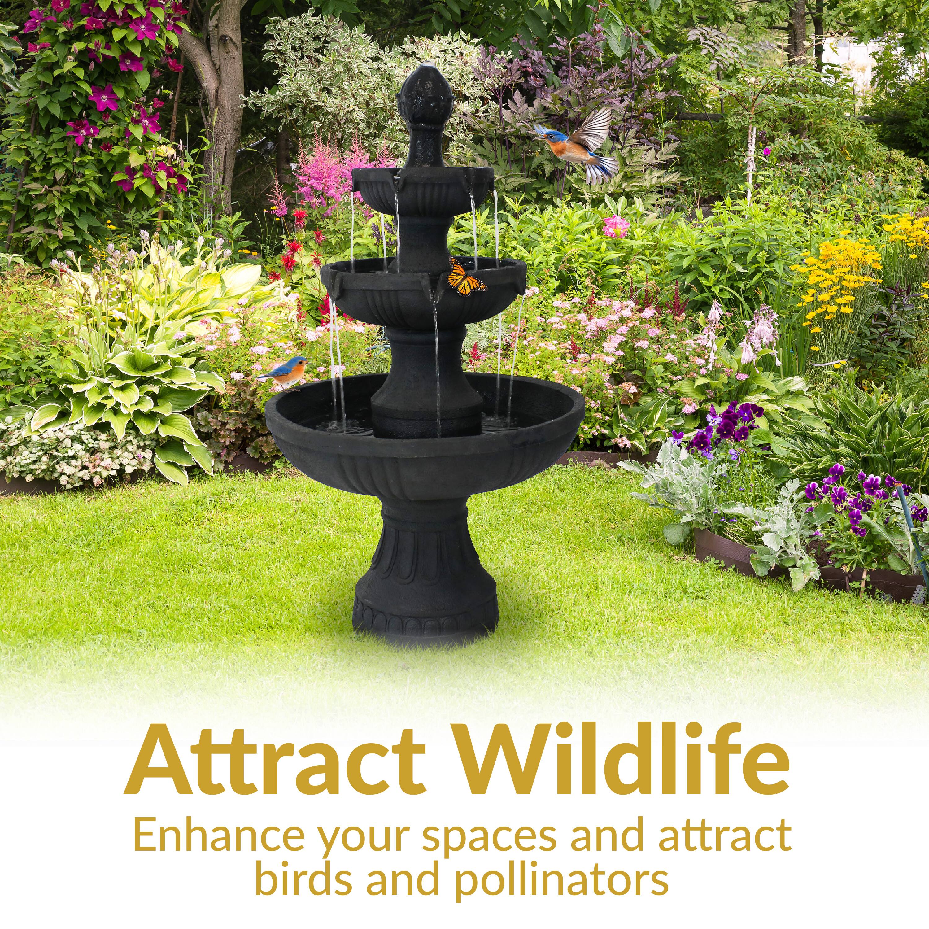 Attract Wildlife  
Enhance your spaces and attract birds and pollinators