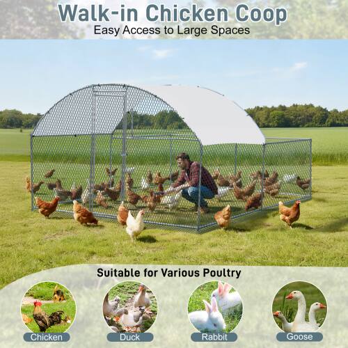 Walk-in Chicken Coop  
Easy Access to Large Spaces  
Suitable for Various Poultry  
Chicken, Duck, Rabbit, Goose